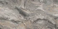 38-CIPPOLINO-2.jpg