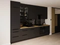 Aria BL-BL 4-2.jpg